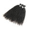 El pelo rizado de la Virgen negra natural lía/cabello humano rizado de la armadura 3 paquetes proveedor