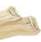 Clip rubio en extensiones del pelo, clip de la Virgen del cabello humano de las extensiones 100 del pelo adentro proveedor