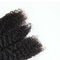 Armadura cruda auténtica del pelo rizado de los paquetes/Jerry del pelo rizado de la Virgen con el cierre proveedor